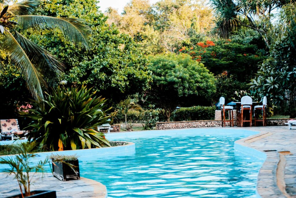 studio de jardin pool house en bois